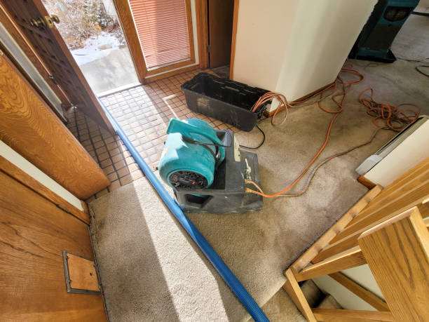 Best Water damage restoration mold remediation  in Eagle Mountain, UT