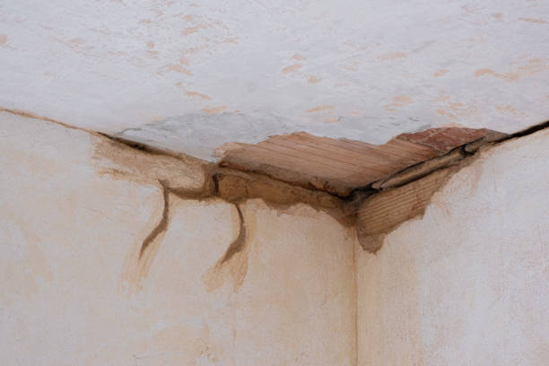Best Water damage restoration near me  in Eagle Mountain, UT