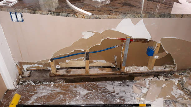 Best Professional water damage repair  in Eagle Mountain, UT