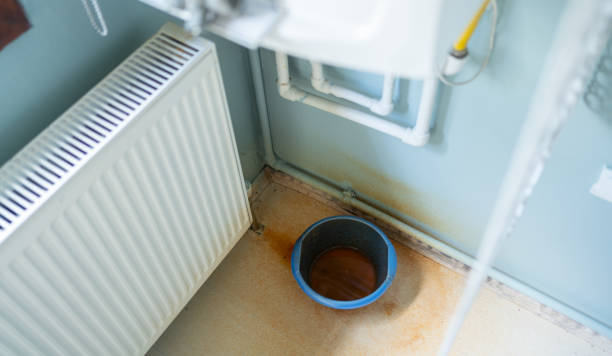 Best Carpet water damage restoration  in Eagle Mountain, UT