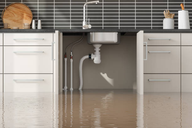 Best Flood restoration services  in Eagle Mountain, UT