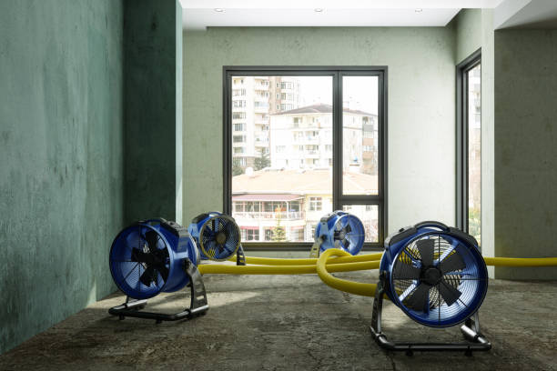 Best Commercial water damage restoration  in Eagle Mountain, UT